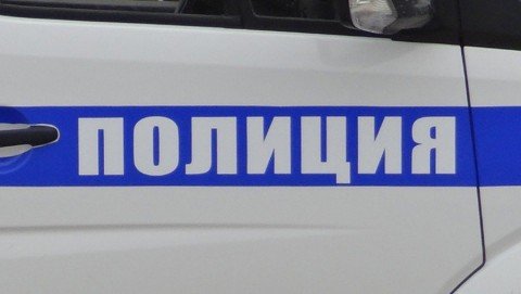 В Новосокольническом районе полицией раскрыт грабеж